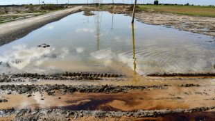 Grandes extensiones agrícolas en Irak están contaminadas por vertidos de petróleo