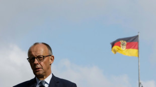 Merz vermutet Kreml hinter Drohnen-Vorf&auml;llen - Pistorius spricht von "Angstmache"