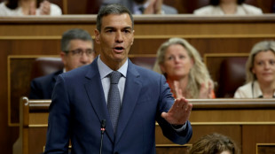 S&aacute;nchez descarta que el Partido Socialista espa&ntilde;ol se financiara con la presunta trama corrupta