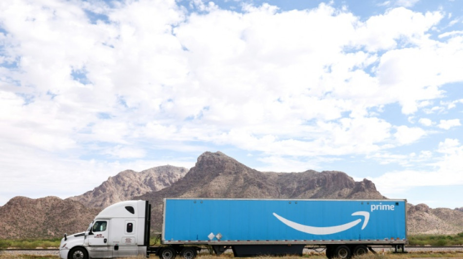 Un grupo sueco presenta una demanda contra Amazon por la venta de muñecas sexuales con apariencia infantil