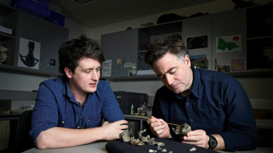 Scientists unearth 'cute' but fearsome ancient whale