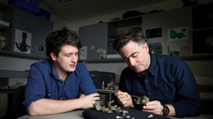 Scientists unearth 'cute' but fearsome ancient whale