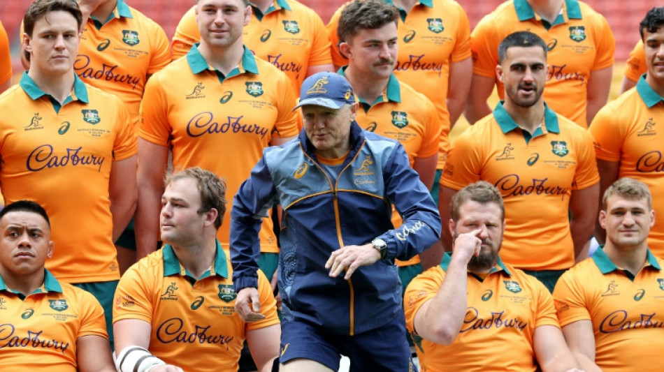 Schmidt says Wallabies must hit the ground running in Melbourne