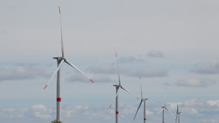 Feu vert environnemental pour la cr&eacute;ation d'un parc &eacute;olien en mer pr&egrave;s de Dunkerque