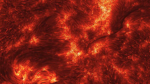 Immagine da record di un brillamento solare, mai così nitido