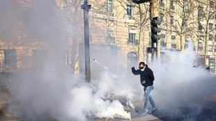 Police fire tear gas, fine Paris protest convoy