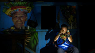 El "camino sagrado" de la ayahuasca en la Amazon&iacute;a ecuatoriana