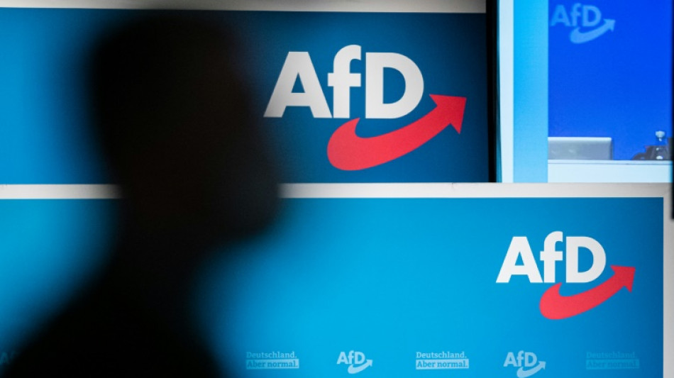 AfD-Kandidat in Stichwahl um Landratsposten in Th&uuml;ringen