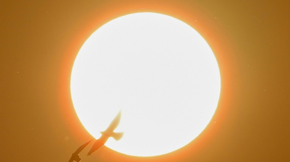 Scheibe eingeschlagen: Polizisten befreien Kind aus &uuml;berhitztem Auto in Kleve