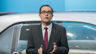 Renault names Provost CEO after De Meo exit