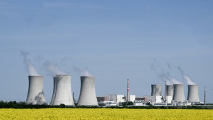 EDF complaint blocks Czech-Korean nuclear deal