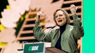 Brantner auf Grünen-Parteitag: Jung und Alt nicht gegeneinander ausspielen