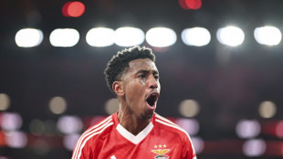 Benfica goleia Famalic&atilde;o (4-0) e alcan&ccedil;a Sporting na lideran&ccedil;a