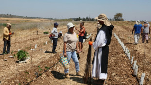 New vines bring hope to Israeli monastery scorched by wildfire