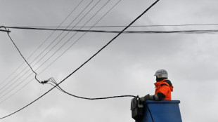Temp&ecirc;te Ciaran: 62.000 foyers restent priv&eacute;s d'&eacute;lectricit&eacute; mardi matin