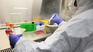 Prima alleanza aziende farmaceutiche per inclusività LGBT+ RPT