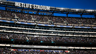 Offiziell: WM-Transport in New York kostet 150 Dollar