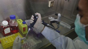 Disarmate le cellule immunitarie ribelli che attaccano il corpo