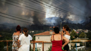 Le Portugal lutte contre plusieurs feux de forêt