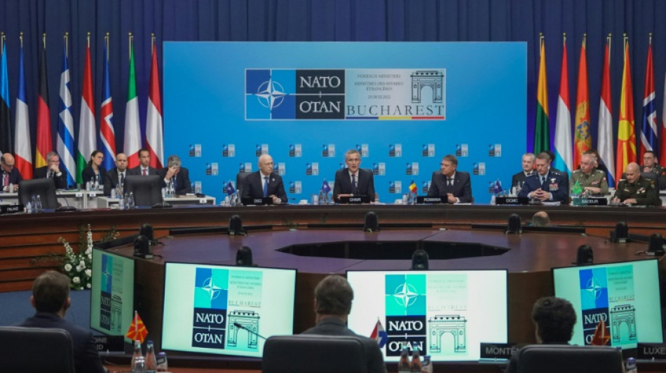 Les pays de l'Otan promettent d'aider l'Ukraine &agrave; braver l'hiver