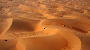 Nani Roma gana una etapa de transici&oacute;n en el Rally Dakar