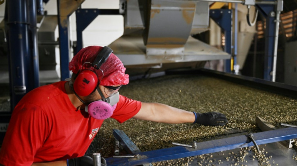 El desempleo en Brasil cae al 8,1% y alcanza su menor &iacute;ndice en siete a&ntilde;os
