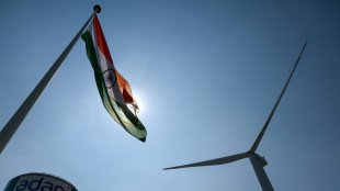 Le groupe indien Adani renonce &agrave; un &eacute;norme projet de ferme &eacute;olienne au Sri Lanka&nbsp;