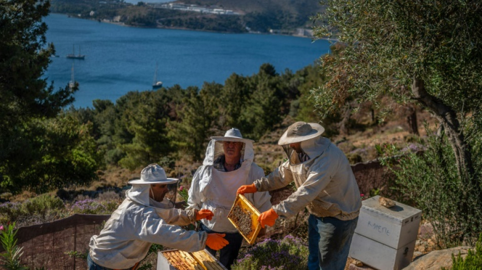"Soulagement de l'&acirc;me": sur l'&icirc;le de Leros, soigner avec les abeilles