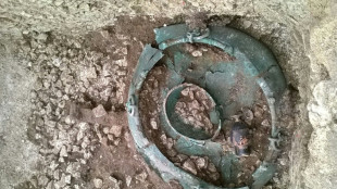 Dix ans après sa découverte, le "Prince de Lavau" continue de livrer ses secrets