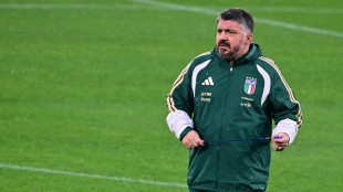 Mondiali: tutto esaurito a Bergamo, 23mila sciarpe tricolori per l'Italia