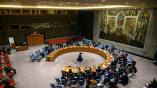 L'interdiction pour les Afghanes de travailler avec l'ONU condamne l'organisation &agrave; un "choix affreux"