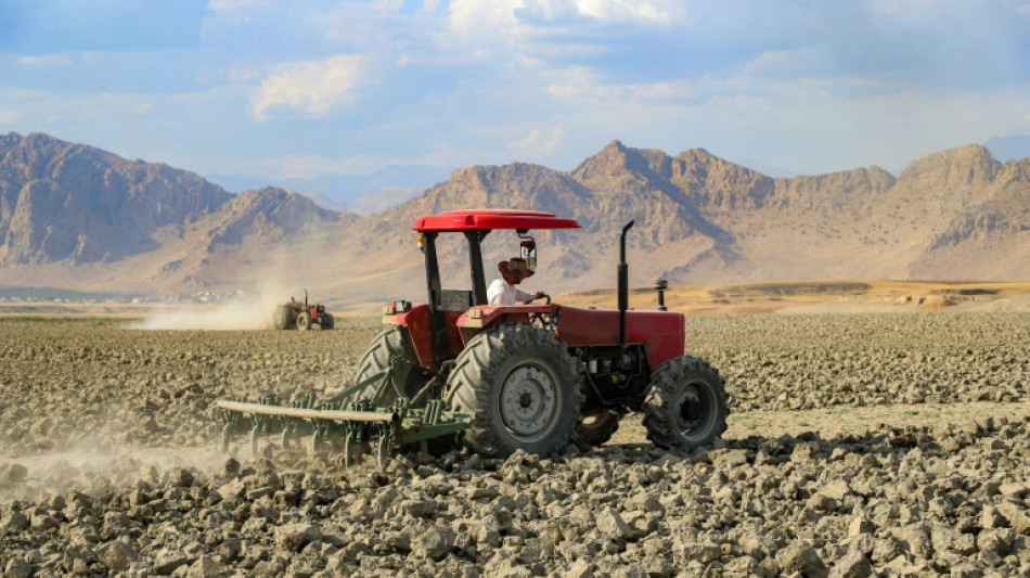 La recrudescence des chaleurs extr&ecirc;mes pousse l'agriculture mondiale "&agrave; bout"