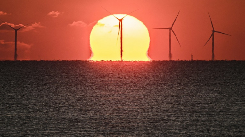 Eolien en mer: Macron annonce un &eacute;norme appel d'offres en 2025