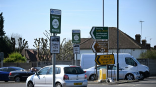 Clean streets vs business woes: pollution charge divides Londoners