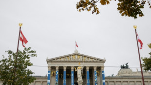 Österreich beschließt Kopftuchverbot für unter 14-Jährige an Schulen