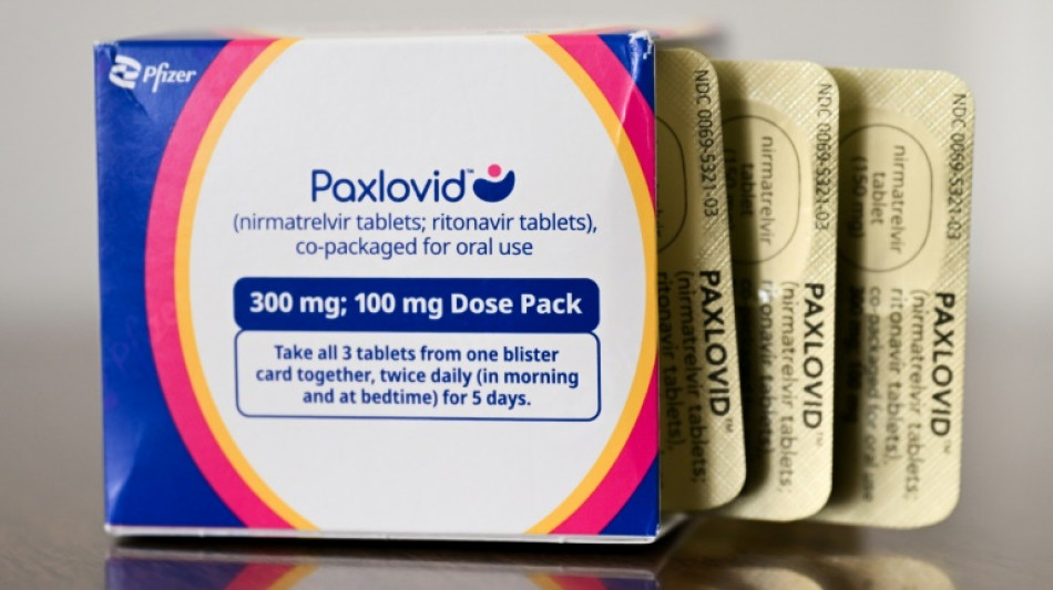 Pfizer profits dip on lower Paxlovid sales