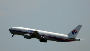 UN-Luftfahrtbeh&ouml;rde: Russland verantwortlich f&uuml;r MH17-Abschuss 2014 &uuml;ber Ukraine