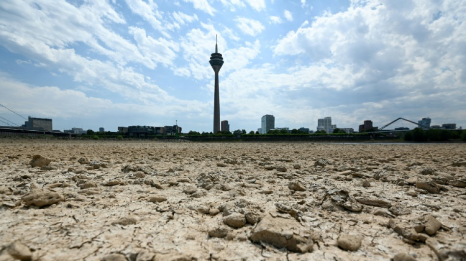 2022 Europe's hottest summer on record: EU&nbsp;monitor 