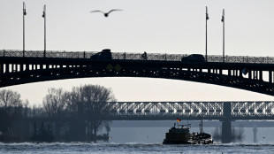 Urteil: Hessischer Gastronom darf kein Ponton auf Rhein errichten