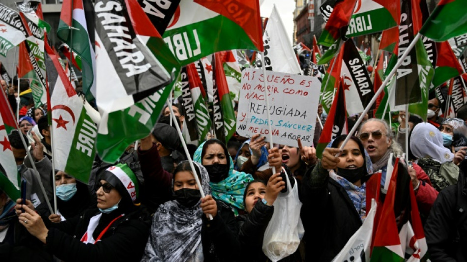 "Trahis" par l'Espagne: 2.000 personnes manifestent pour le Sahara occidental &agrave; Madrid