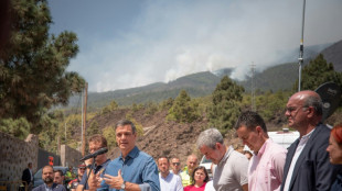 Autoridades espanholas esperam que inc&ecirc;ndio em Tenerife se estabilize em poucos dias