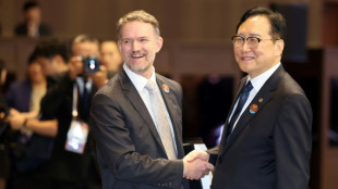 APEC says 'concerned' over challenges to global trade 