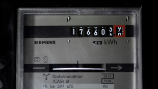 Portal: Anstieg der Strompreise f&uuml;r Privathaushalte so stark wie nie