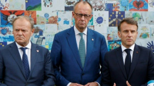 Merz reist mit Macron und Tusk am Mittwoch nach Moldau