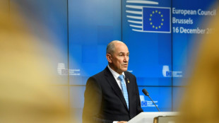 China kritisiert Slowenien wegen Plans zur St&auml;rkung der Beziehung zu Taiwan