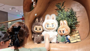 Chine: la police d&eacute;mant&egrave;le un groupe criminel vendant des peluches Labubu contrefaites