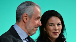 Baerbock betont internationale Zusammenarbeit beim Klimaschutz