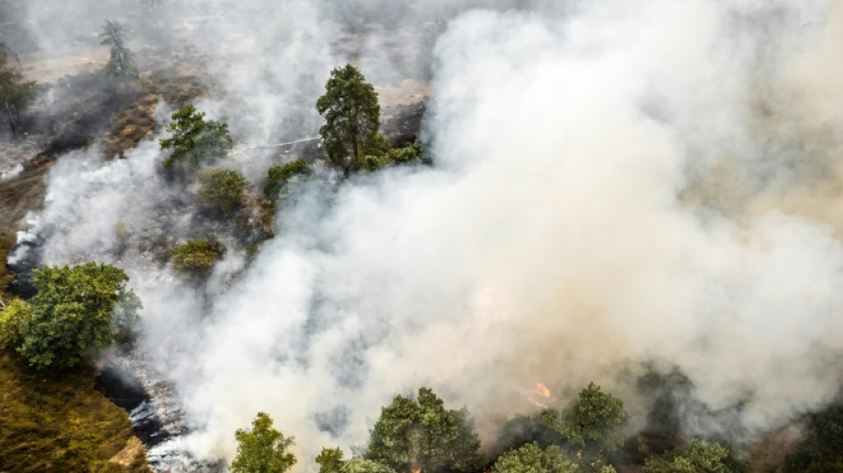 Waldbrand im S&uuml;dosten der Niederlande nahe NRW ausgebrochen