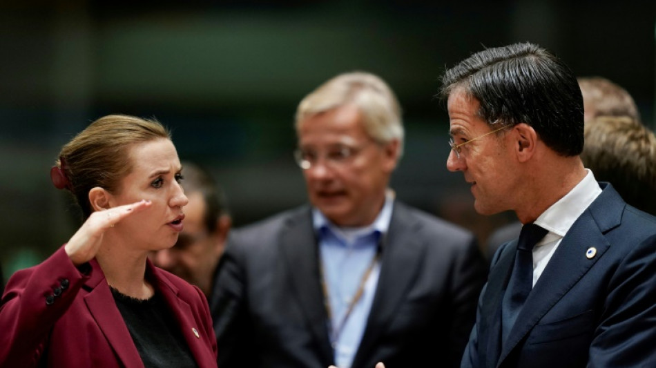 La s&eacute;curit&eacute; du continent europ&eacute;en, priorit&eacute; de la pr&eacute;sidence danoise de l'UE
