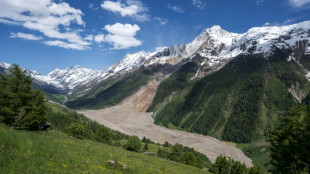 Swiss glacier collapse could cost huge sums: insurers